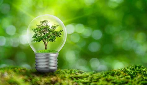The Green Magic Revolution: Embracing a Sustainable Future